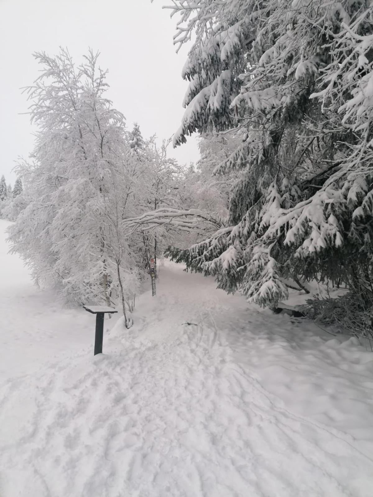 Ferienwohnung Mia Винтерберг Номер фото